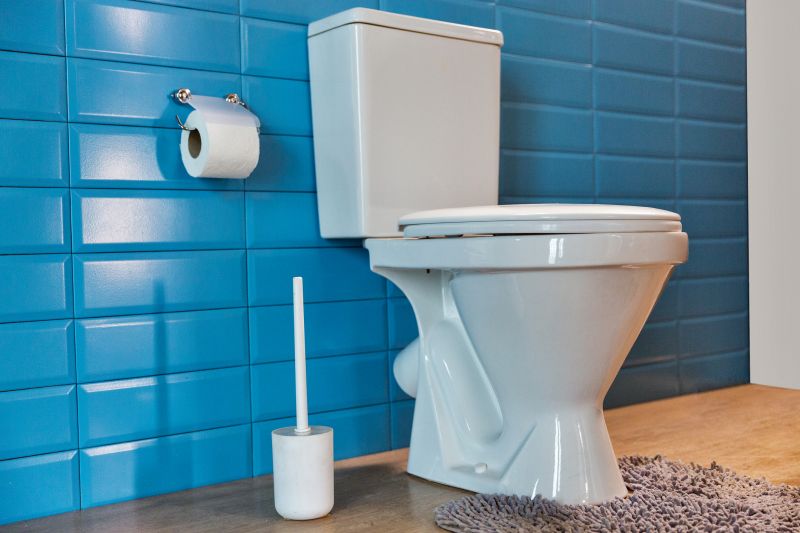Broken Toilet Repair in Denver, CO